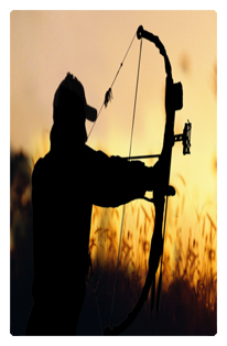 DF35T 309 Gone Hunting (Bow)